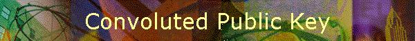 Convoluted Public Key